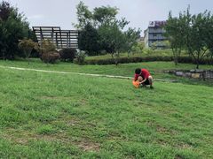 -贵阳市花溪国家城市湿地公园