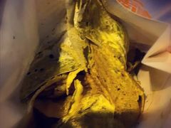 -南楼煎饼(南楼总店)