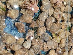 -天盛海鲜烧烤大排档·本地小海鲜·牟平腿穗子(幸福店)