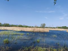 -野鸭湖国家湿地公园