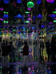 -疯狂冒险家-亲子密室-东坝店(金隅嘉品店)