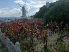 -玫瑰海岸文化旅游度假区