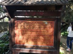 -宋井风景区