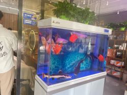 -宝诗护肤造型