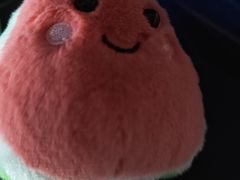-山与蓝·轻糖鲜果蛋糕(勒泰店)