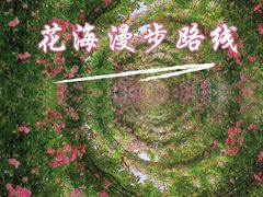 -广富林郊野公园