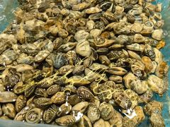 -园丁阁酒店(清流水韵店)