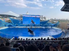 -上海海昌海洋公园