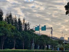 -宝安西湾红树林湿地公园