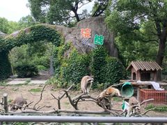 -宁波野生动物园