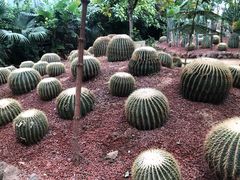 -呀路古热带植物园