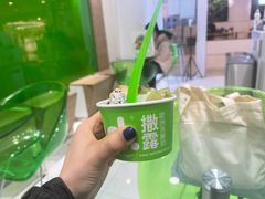 -Salud撒露欧洲冻酸奶(蓝色港湾店)