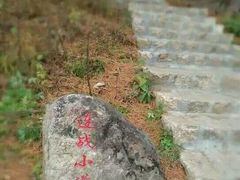 -五营红松林海景区