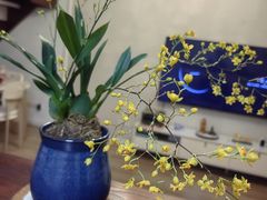 -轻蔬不用等·素食(江苏路店)