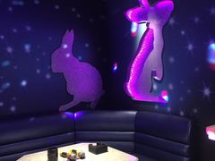 -米乐星世界KTV