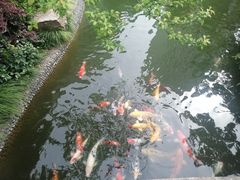 -上海虹桥宾馆味翠餐厅