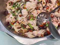 -百岁鱼(七一路店)