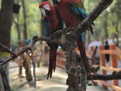 -北京野生动物园