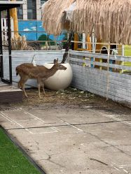 -小蜜蜂农场(凯德七宝购物广场店)
