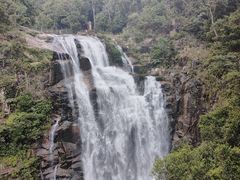 -海南热带雨林国家公园吊罗山景区