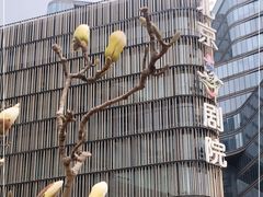 -北京喜剧院