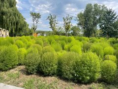 -野鸭湖国家湿地公园