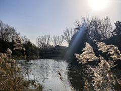 -思念果岭悦温泉