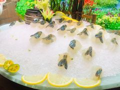 -园林宾馆·鸿运楼(越山路店)