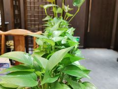 -东湖印象汉寿特色甲鱼钵子菜(渔人码头店)