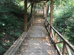 -大岭沟猕猴桃谷风景区