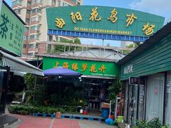 -曲阳花鸟市场(曲阳路店)