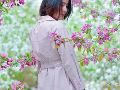 -渭南桃花源民俗文化园