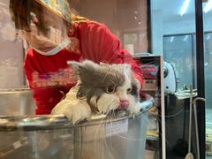 -PETKIT小佩宠物·低压洗护(国顺东路店)