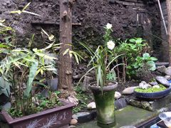 -恺庐茶园(宽窄巷子景区店)