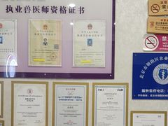 -宠爱国际动物医院·疑难骨科·心肾内科·皮肤科(太阳宫店)