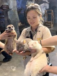 -Zoolung Zoolung动物主题公园(海信广场店)