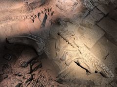 -自贡恐龙博物馆