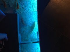 -醉西楼·国风茶社