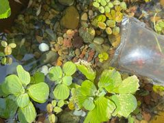 -川匠·睡眠采耳·SPA(九眼桥店)