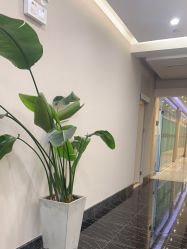 -上海首尔丽格医疗美容医院