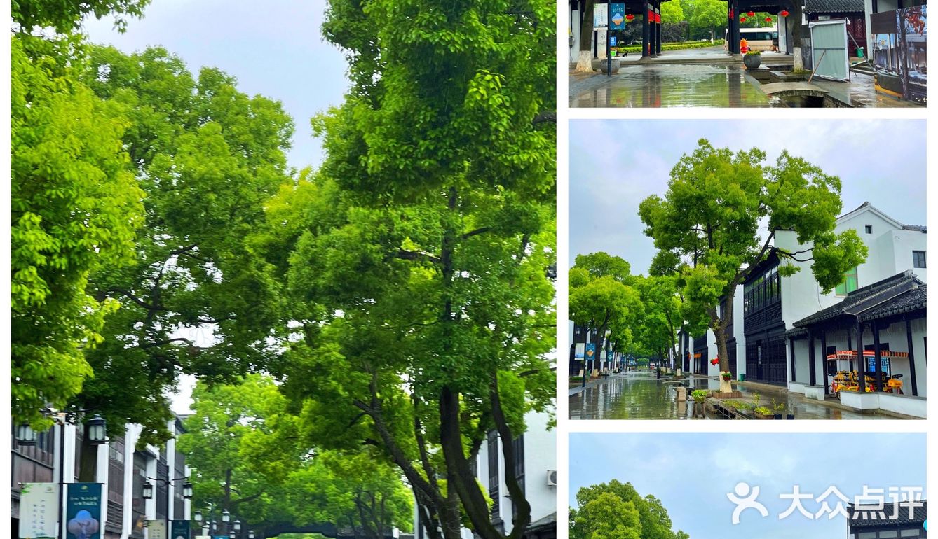 杨舍老街 张家港