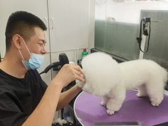 -中农国际动物医院24小时·猫科·骨科·急重症中心