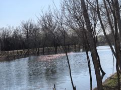 -坝河休闲公园