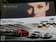 -河南威佳金凯汽车销售服务有限公司