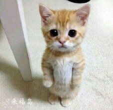 -昌平体育局室外游泳馆