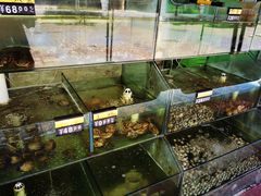 -四海鲜渔家菜(黄金海岸店)