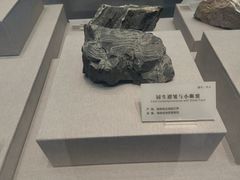 -湖南省地质博物馆