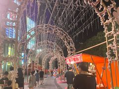 -金茂览秀城