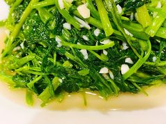 蒜蓉空心菜-嘉丰湘菜馆(芳群园店)