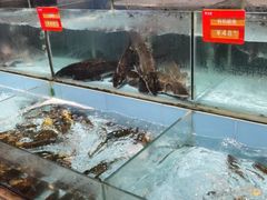 水产区-饭怕鱼(阳光100店)